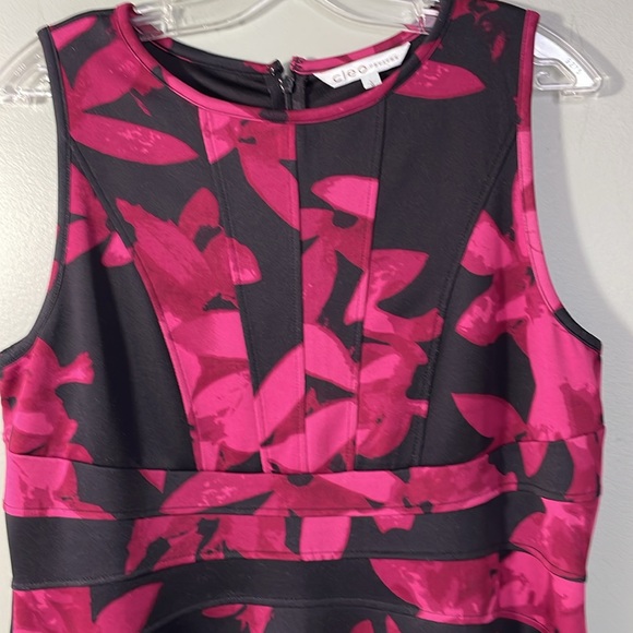 Gorgeous Cleo Fit & Flare dress Size Petite Large - Picture 3 of 9
